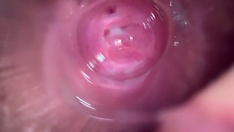 Intense Close-Up Of A Teen'S Wet And Creamy Pussy