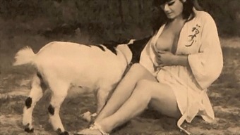 Classic Taboo: Vintage Lovemaking With Furry Friends